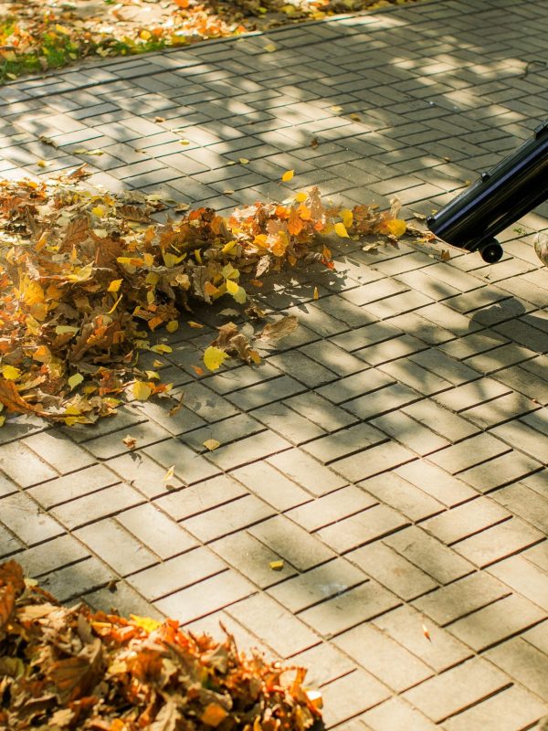 Czyszczenie kostki brukowej Będzin - usuwanie liści z kostki brukowej